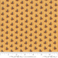 Nancys Needle           Cheddar