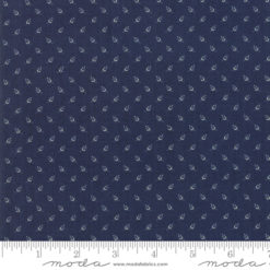Nancys Needle            Indigo