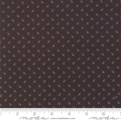 Nancys Needle      Black Walnut