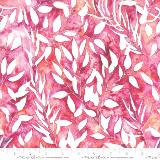 Brightly Blooming       Fuchsia