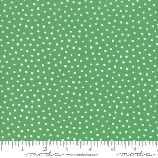 Snow Day Snow Dots        Kelly