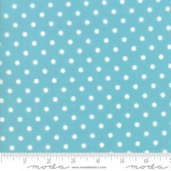 Bloomington Coated ROT     Teal