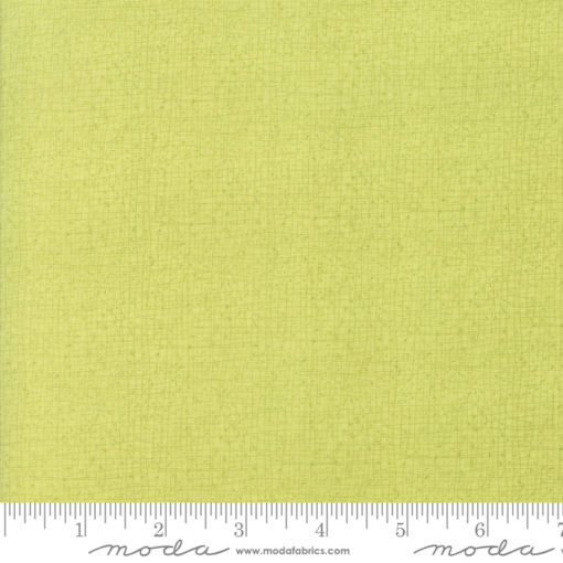 Abby Rose              Greenery