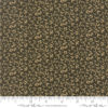 Nancys Needle      Black Walnut