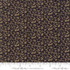 Nancys Needle      Black Walnut
