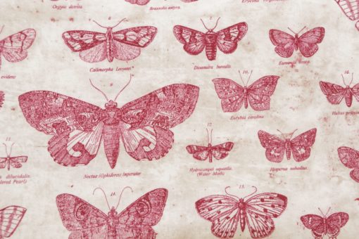 Eclectic Elements Tim Holtz  Fabric