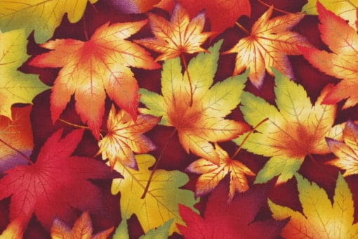 Henry Glass Autum Time Fabric