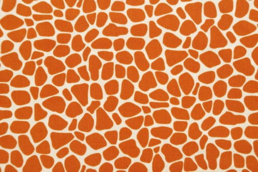 Susybee Fabric