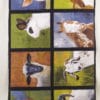 Robert Kaufman Panel Fabric