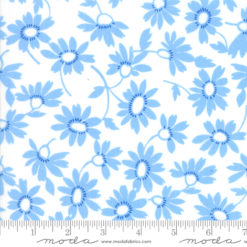 Back Porch           White Blue
