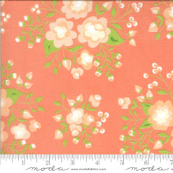 Apricot Ash               Coral