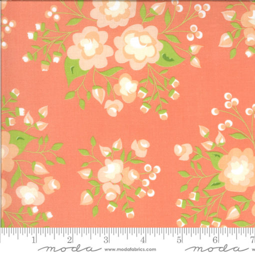 Apricot Ash               Coral
