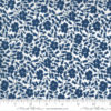 Ombre Fairy Dust   Graphic Grey