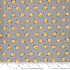 Spring Chicken             Gray