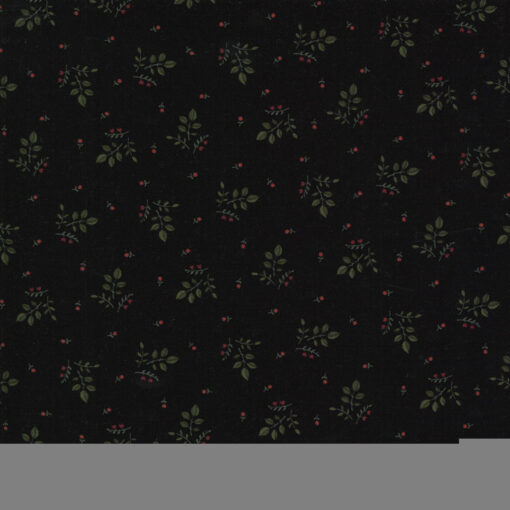 Prairie Dreams            Black