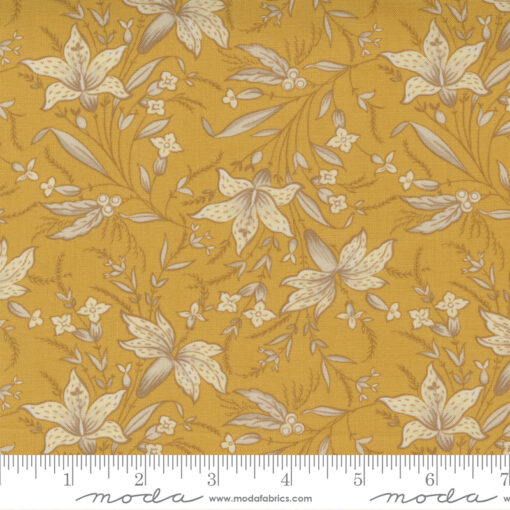 Regency Somerset   India Yellow