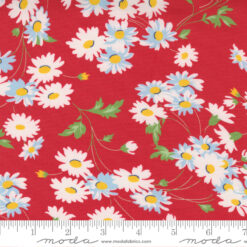 Story Time Real Daisy       Red