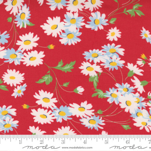 Story Time Real Daisy       Red