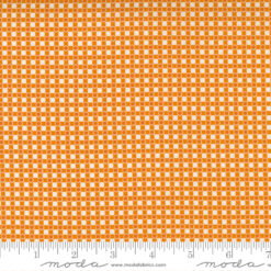 Story Time Dotted Check  Orange