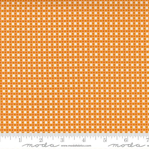 Story Time Dotted Check  Orange