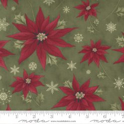 Poinsettia Plaza          Holly