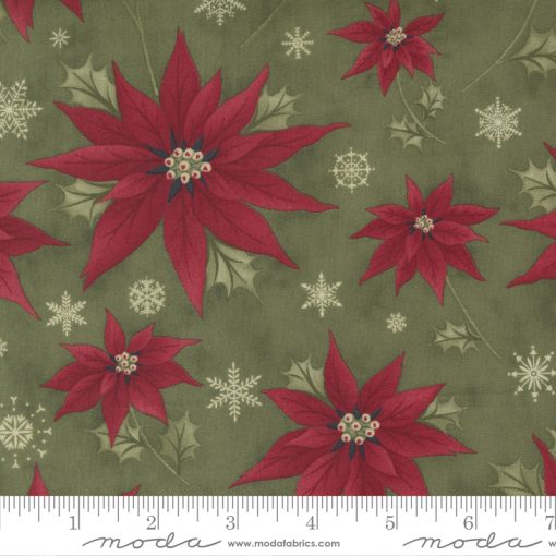 Poinsettia Plaza          Holly