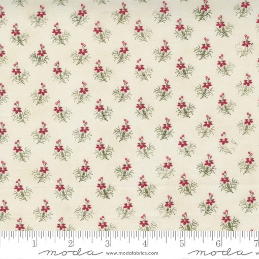 Poinsettia Plaza          Cream