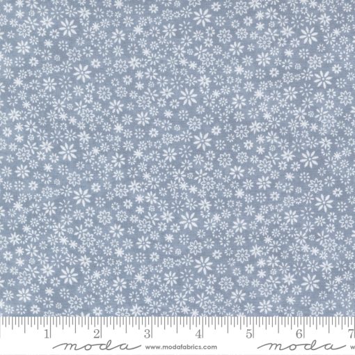 Winter Flurries             Sky  sku 6883 22