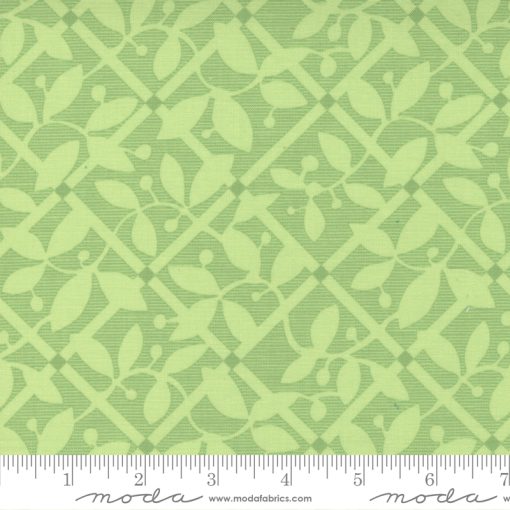 Picnic Pop         Grassy Green