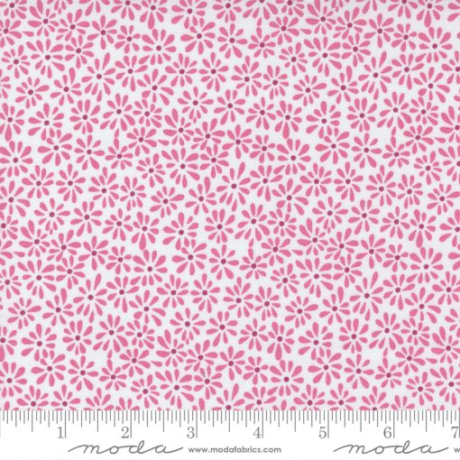 Picnic Pop         Popping Pink