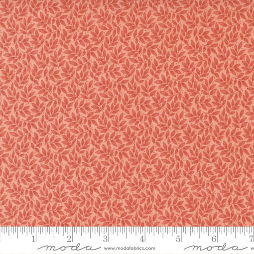 Rendenzvous Ecru  sku 44307 15