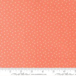 Sunwashed                 Coral  sku 29167 38