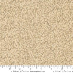 KT Favorites BG       Dandelion  sku 9779 11