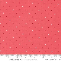 Magic Dot             Raspberry  sku 5230 33