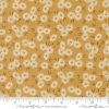 Saddle Ranch              Wheat  sku 33796 14