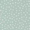 Shine               Cloud White  sku 55675 21