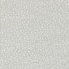 Shine                       Sky  sku 55676 12