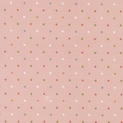 Magic Dot             Carnation