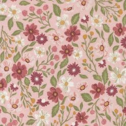 Wild Honey            Carnation