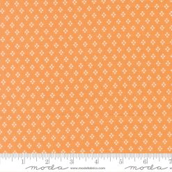 Delightfully Yours      Apricot 37707 13     Moda         #1