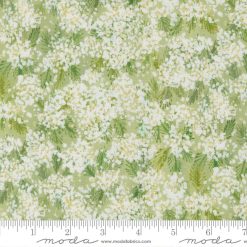 Sweet Cecily                Bud 24642 12     Moda         #1