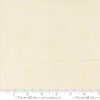 Ambiance       Porcelain Silver 44411 22     Moda         #1